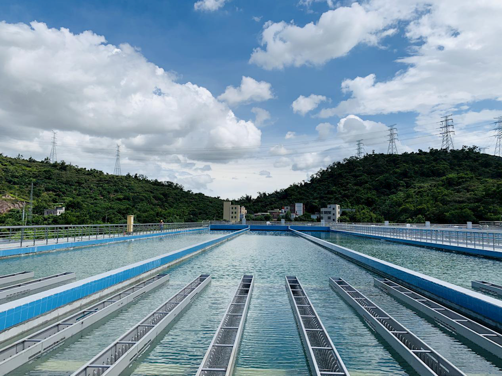 XPJ(�й���)�ٷ���վ