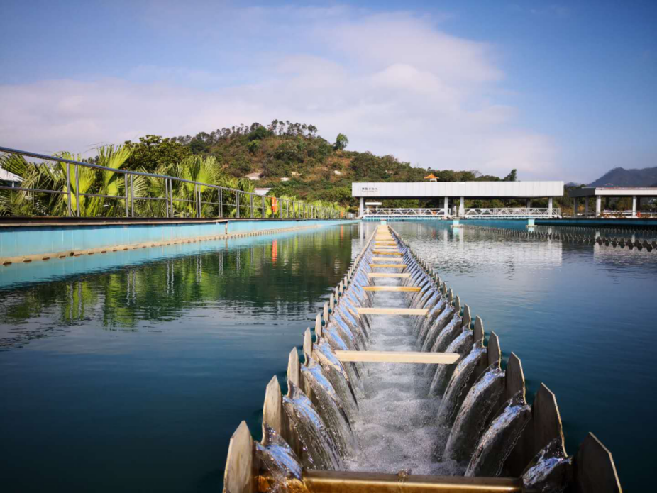 XPJ(�й���)�ٷ���վ