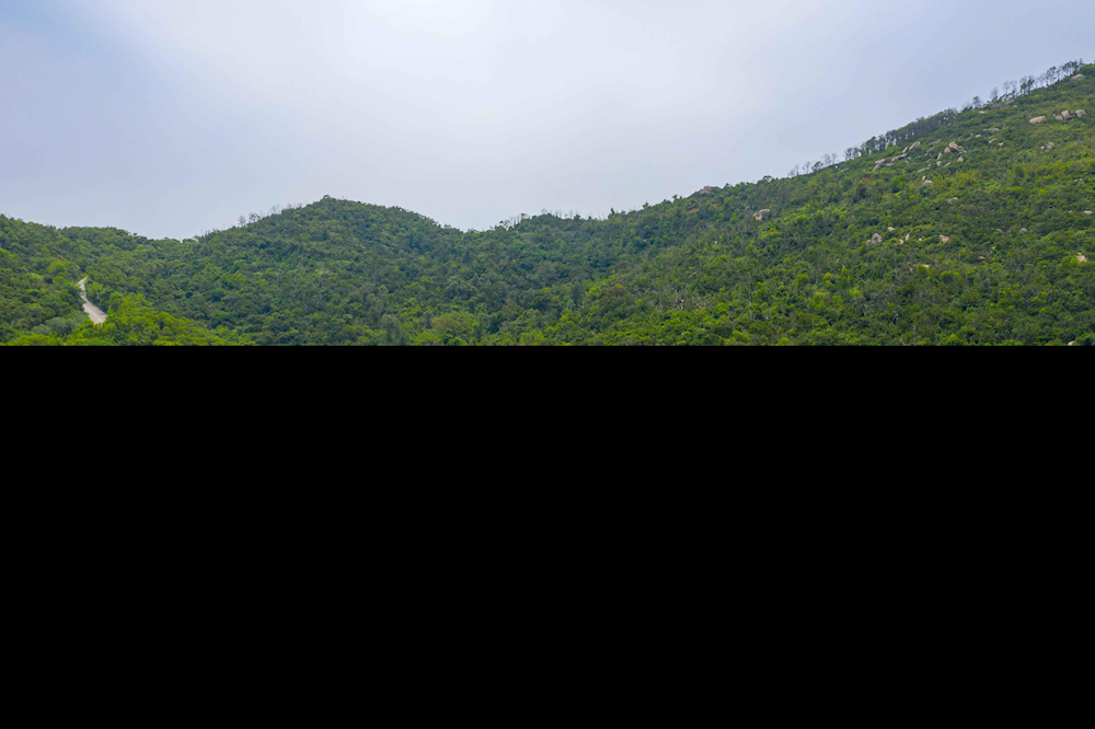 XPJ(�й���)�ٷ���վ