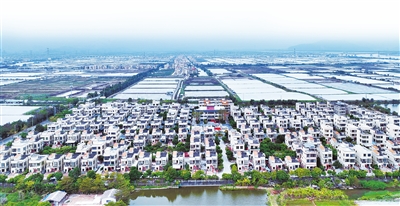 XPJ(�й���)�ٷ���վ