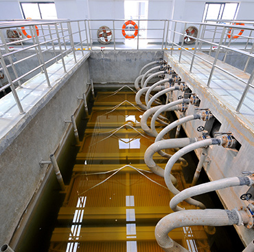 XPJ(�й���)�ٷ���վ